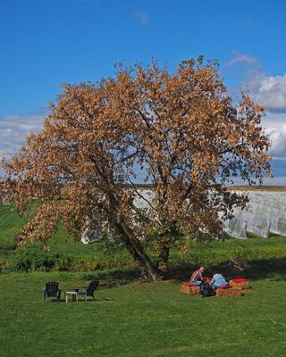 LES VENDANGES DU MOUTON NOIR 2024