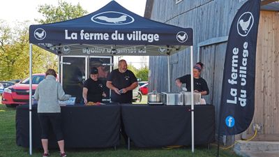 LES VENDANGES DU MOUTON NOIR 2024