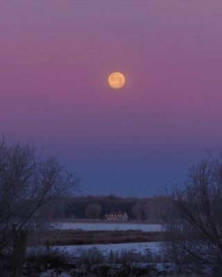 Pierre Joly PHOTOGRAPHE FocusNature