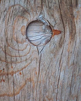 PINOCHIO / Tout en bois