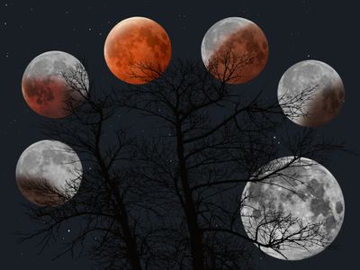 eclipse_moon_lune