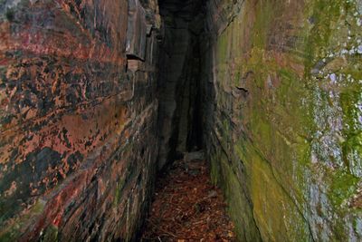 Sentier KKKO / FRACTURES et FISSURES (13 )