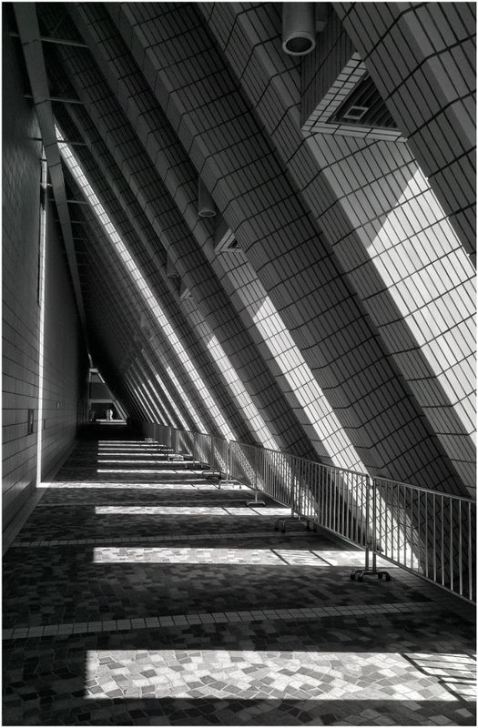 HongKong_3375