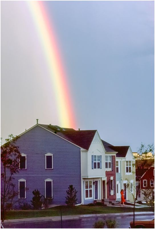 Colorado Rainbow