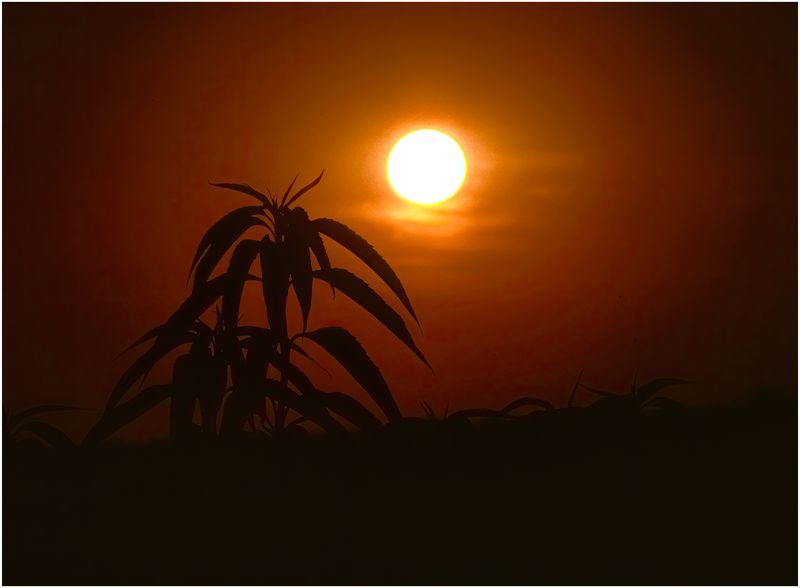 Kansas_Sunset_108