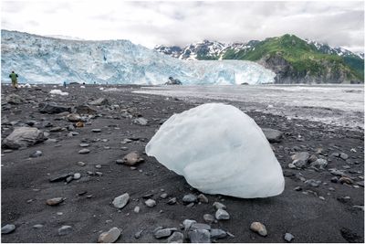 Glacial Ice on Beach