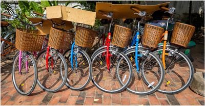 Rental Bikes