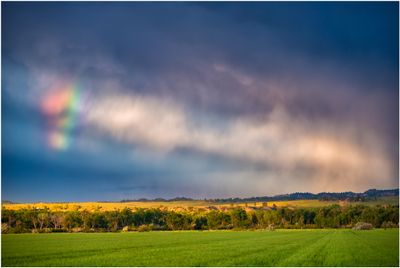 Montana_0447