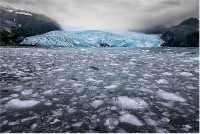 Aialik Glacier