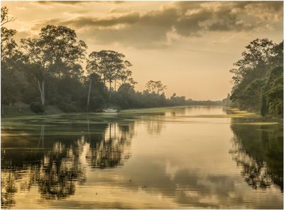 River Landscape