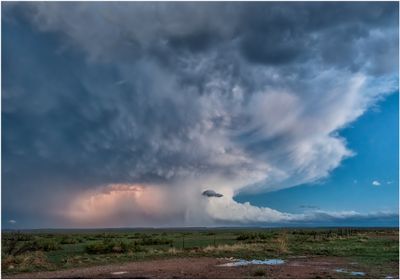 Texas_2976