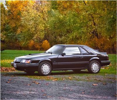 1986 Mustang SVO