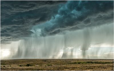 New Mexico_7592