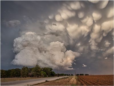 Texas_3071