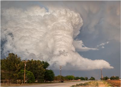 Texas_3086