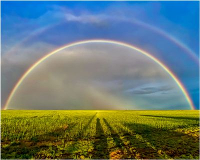 Rainbow_OK