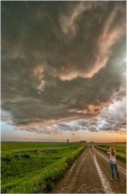 SD14064