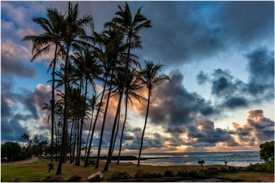Hawaii 2009