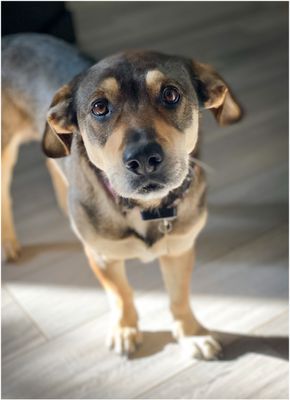 Skye_5649