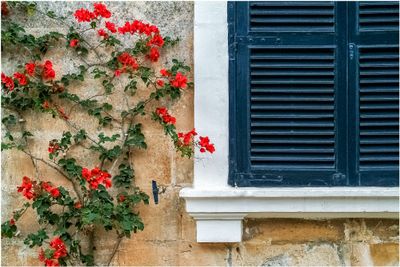 Malta_580