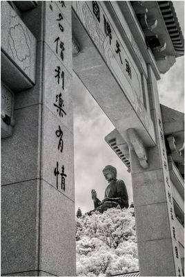 HongKong_3107
