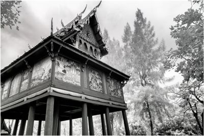 Thailand_IR_2930