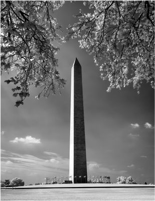 New digital images, 2001-Today