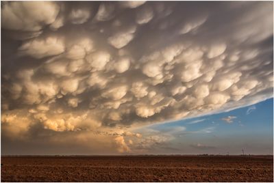 Texas_3075