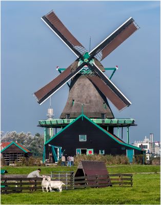 Windmill_7056