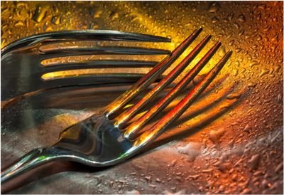 Two Forks_1371