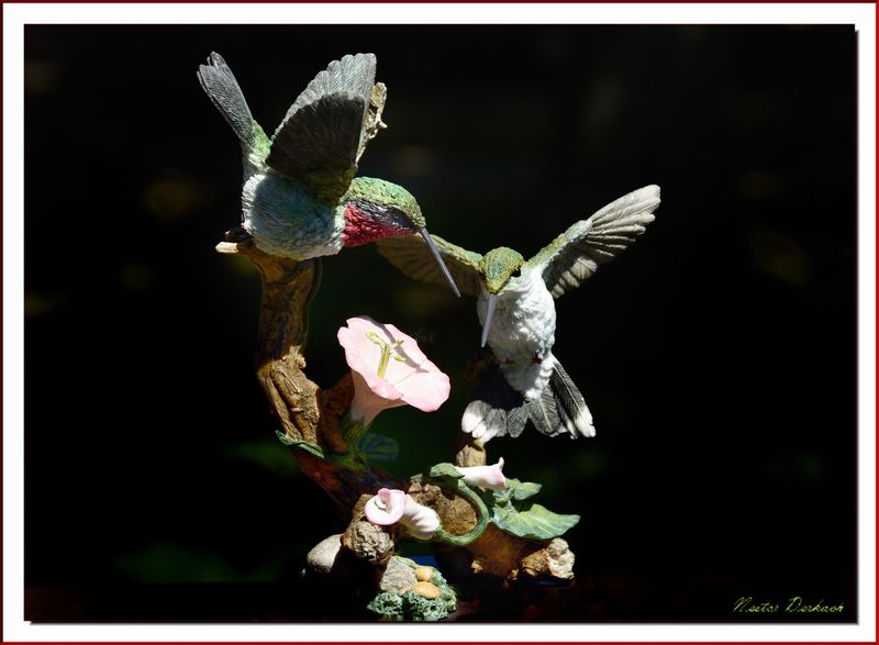 Ruby Throated   Hummingbird 