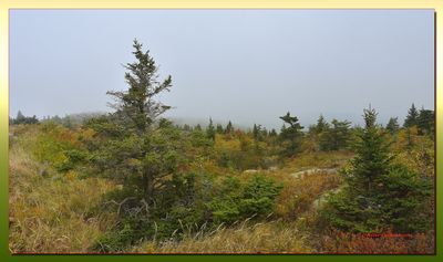  Acadia National Park with fog Bar Harbor Maine   