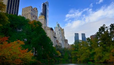 CENTRAL PARK LOOKING AT THE MANHATTAN SKY LINE 7TH AVE