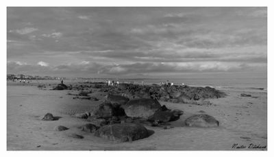 MONOCHROME INTERPRETATIONS
