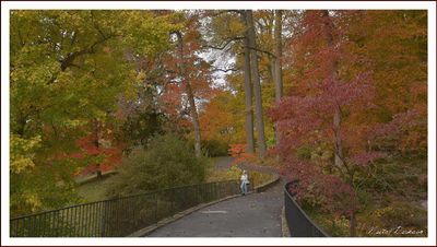 WINTERTHUR GARDENS