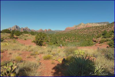 ARIZONA USA