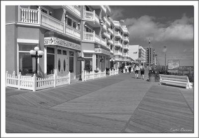 MONOCHROME INTERPRETATIONS