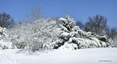 DELAWARE , USA
