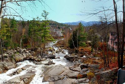 NEW ENGLAND STATES 