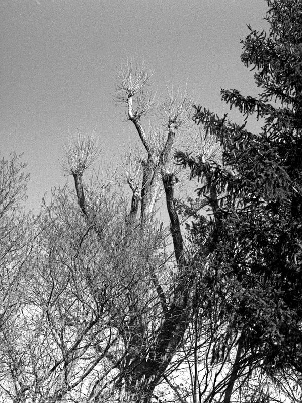FP4483a.jpg