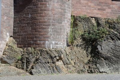 DSCF6674a.JPG