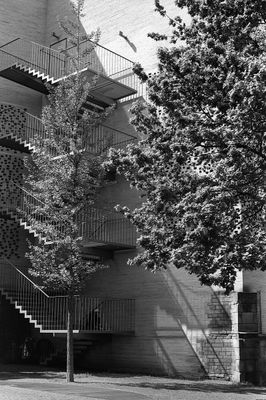 acros605.jpg