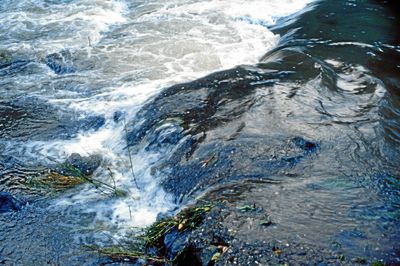 Image 1  15.jpg