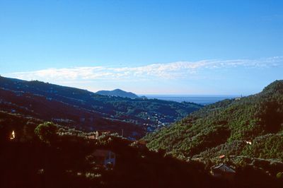 Image 1  16.jpg