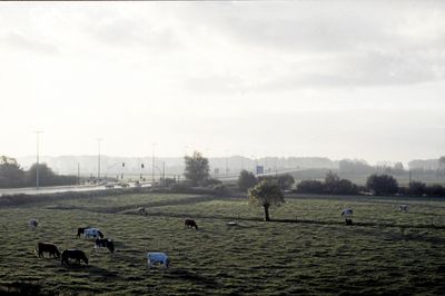 img047.jpg