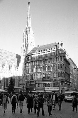 bild801.jpg