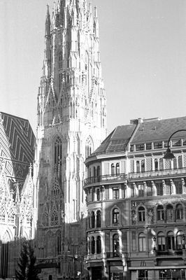 bild834.jpg