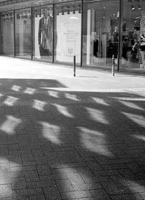 11-1 19 bild295.jpg