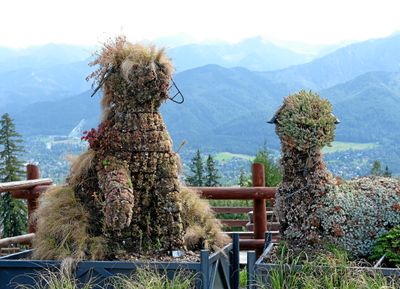 DSCF8185.jpg