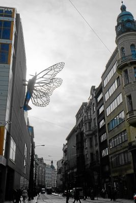 DSCF8305.JPG